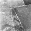 Nether Hailes, enclosure: oblique air photograph of cropmarks.
