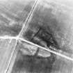 Overhailes, enclosure: oblique air photograph showing cropmarks.
