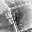 Overhailes, enclosure: oblique air photograph showing cropmarks.

