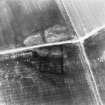 Overhailes, enclosure: oblique air photograph showing cropmarks.
