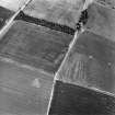 Overhailes, enclosure: oblique air photograph showing cropmarks.
