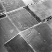 Overhailes, enclosure: oblique air photograph showing cropmarks.
