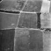 Overhailes, enclosure: oblique air photograph showing cropmarks.
