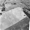 Kaeheughs, Barney Mains, pit-alignments: oblique air photograph of cropmarks.
