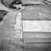 West Mains, oblique aerial view, taken from the NW, centred on the cropmarks of ring-ditches and linear cropmarks.