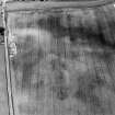 Oblique aerial view of Priest Bank centred on a subcircular cropmark, with the cropmark of an enclosure adjacent.  Taken from the NW.