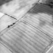 Oblique aerial view centred on the cropmarks of the settlement, taken from the NNE.