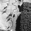 Aerial view of a roofless building and rig at Abbotrule, taken from the NE.