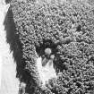 Aerial view of the gable end of a building at Abbotrule, taken from the NE.