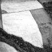 Harden Burn, Monklaw, oblique aerial view, taken from the NNW, centred on the cropmarks of a settlement.