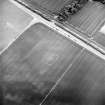 Oblique aerial view centred on the cropmarks of the settlement, taken from the NW.