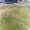 Oblique aerial view centred on the cropmarks of the fort, field boundaries and cropmarks, taken from the SE.