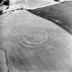 Oblique aerial view centred on the cropmarks of the fort, taken from the SSE.