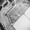 Oblique aerial view centred on the cropmarks of the fort, taken from the ESE.