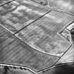Spott Farm, linear cropmarks and enclosure: oblique air photograph of cropmarks.
