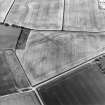 Oblique aerial view centred on the linear cropmarks, taken from the SSE.