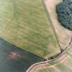 Oblique aerial view centred on the field boundaries and cropmarks, taken from the NNE.