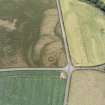 Eckford, oblique aerial view, taken from the E, centred on the cropmarks of an enclosure suurrounding a barrow and pit-circle.