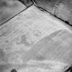 Oblique aerial view.