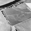 Lochton, oblique aerial view, taken from the N, centred on the cropmark of an enclosure.