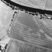 Lochton, oblique aerial view, taken from the NW, centred on the cropmark of an enclosure.
