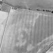 Oblique aerial view centred on the cropmarks of the enclosure, taken from the SW.