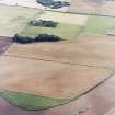 General oblique aerial view centred on the cropmarks of the settlement, taken from the NW.