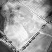 Oblique aerial view centred on the cropmarks of the enclosure, taken from the E.
