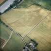 Oblique aerial view centred on the cropmarks of the enclosure, taken from the N.