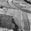 Whitmuirhaugh, Sprouston, cropmarks: oblique air photograph.