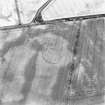 Oxendean Tower, oblique aerial view taken from the SW, centred on the cropmarks of an enclosure.