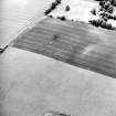 Oblique aerial view centred on the cropmarks of the settlement with coach house and stable adjacent, taken from the NE.