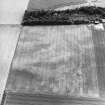 Oblique aerial view centred on the cropmarks of the possible barrow, taken from the NE.