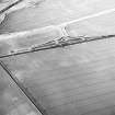 Skateraw, oblique aerial view, taken from the SW, centred on cropmarks, including those of an enclosure.