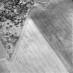 Oblique aerial view of Glen Cottage centred on cropmarks, taken from the NE.