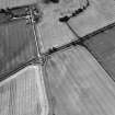 Oblique aerial view centred on the cropmarks of the possible enclosure, taken from the E.