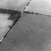 East Reston, fort and enclosure: oblique air photograph of cropmarks.