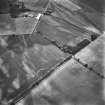 East Reston, settlement: oblique air photograph of cropmarks.