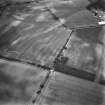 East Reston, settlement: oblique air photograph of cropmarks.