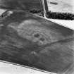 Renton Barns, oblique aerial view taken from the SE, centred on the cropmarks of a settlement.