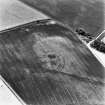 Renton Barns, oblique aerial view taken from the E, centred on the cropmarks of a settlement.