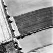 East Reston Mill, oblique aerial view, taken from the SE, centred on the cropmarks of a pit-alignment.