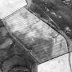 Oblique aerial view centred on the cropmarks of the trackway and linear cropmarks with the remains of the linear earthwork adjacent, taken from the E.