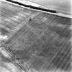 Heugh Head, oblique aerial view taken from the NW, centred on the cropmarks of a settlement.  A second cropmark of a second possible settlement is visible immediately to the W of this settlement.