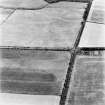 Blackhouse, oblique aerial view, taken from the ENE, centred on the cropmarks of a pit-alignment and linear cropmark.