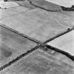 Blackhouse, oblique aerial view, taken from the NE, centred on the cropmarks of a pit-alignment and linear cropmark.