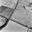 Blackhouse, oblique aerial view, taken from the NNW, centred on the cropmarks of a pit-alignment and linear cropmark.