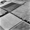 Blackhouse, oblique aerial view, taken from the NW, centred on the cropmarks of a pit-alignment and linear cropmark.