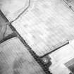 Oblique aerial view centred on the cropmarks of the pit-alignments and linear cropmarks with linear cropmarks adjacent, taken from the WNW.