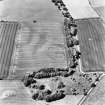 Greenfield, oblique aerial view, taken from the SSE, centred on the cropmarks of a settlement, and a linear cropmark.